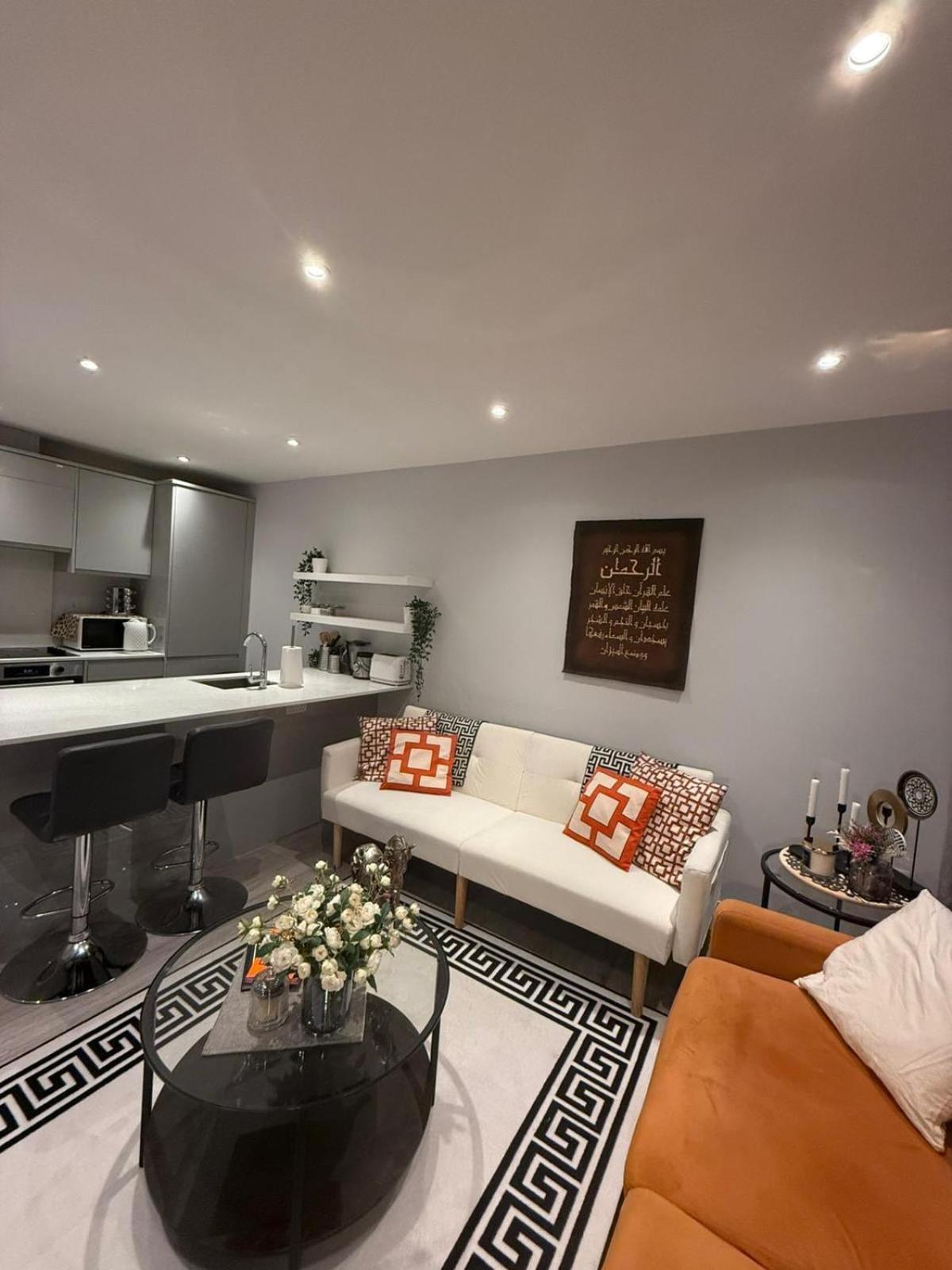 Luxury Cozy Modern Flat